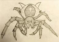 artist:theblondeowl front_view insect meta:inntober meta:inntober_2023 meta:tagme pencil_art prompt26 prompt_undead shield_spider spider spoiler:book1 undead white_background // 2567x1819 // 573KB // rating:Safe