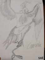 artist:ceramicsae caption character:oc front_view garuda looking_up monochrome simple_background solo spoiler:book2 text topless white_background // 950x1266 // 554KB // rating:Safe