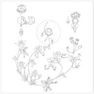 artist:enuryn faery_flower flower meta:tagme monochrome simple_background spoiler:book2 white_background // 780x780 // 135KB // rating:Safe