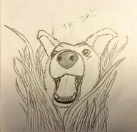 artist:theblondeowl character:mrsha druid gnoll grass grin head_only looking_up magic meta:inntober meta:inntober_2023 monchrome pencil_art plant prompt3 prompt_magic sharp_teeth simple_background spoiler:book8 spoiler:volume5 text white_background // 1927x1870 // 370KB // rating:Safe
